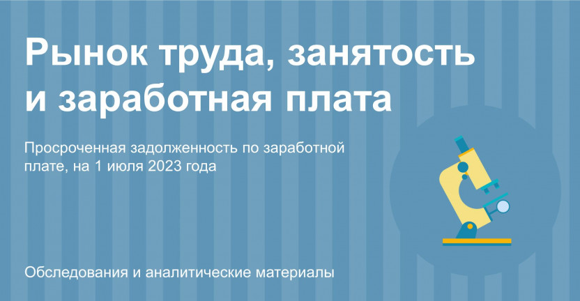 О просроченной задолженности предприятий и организаций г. Улан-Удэ по выплате заработной платы на 1 июля 2023 года